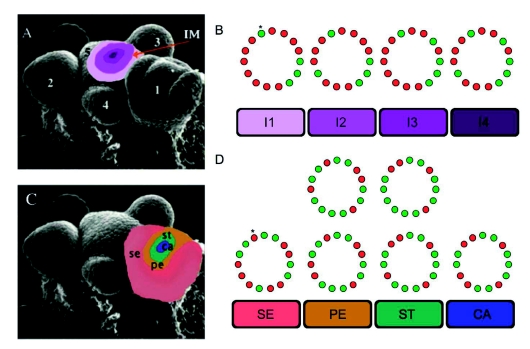 Figure 21.