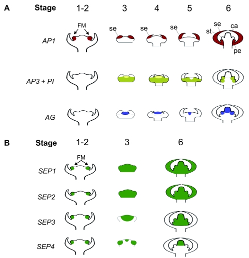 Figure 13.