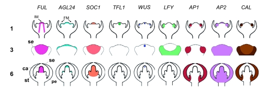 Figure 10.