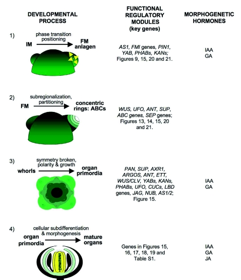 Figure 24.