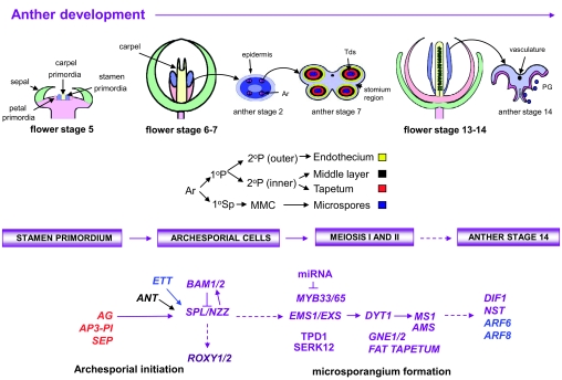 Figure 17.