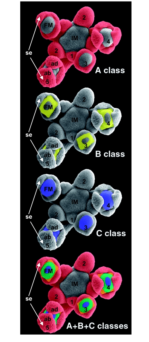 Figure 12.