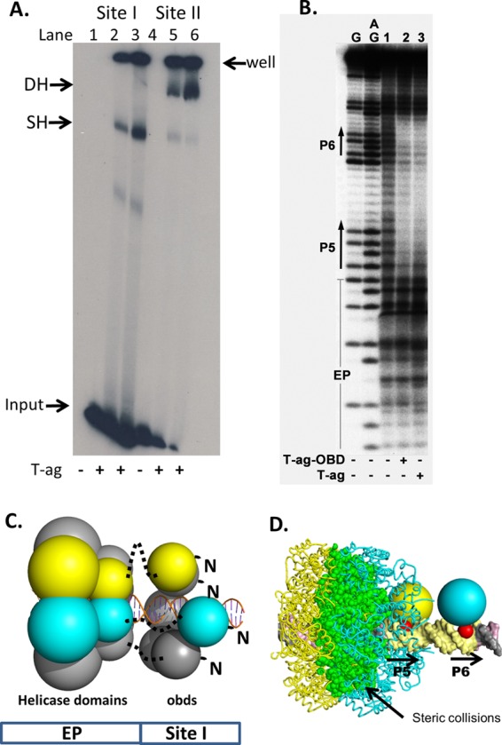 Fig 4