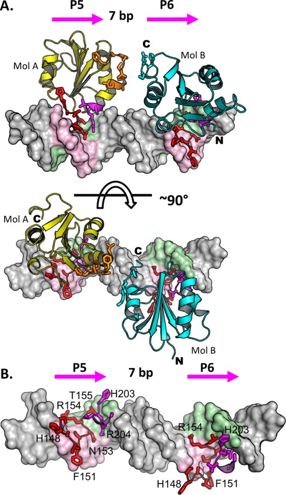 Fig 2