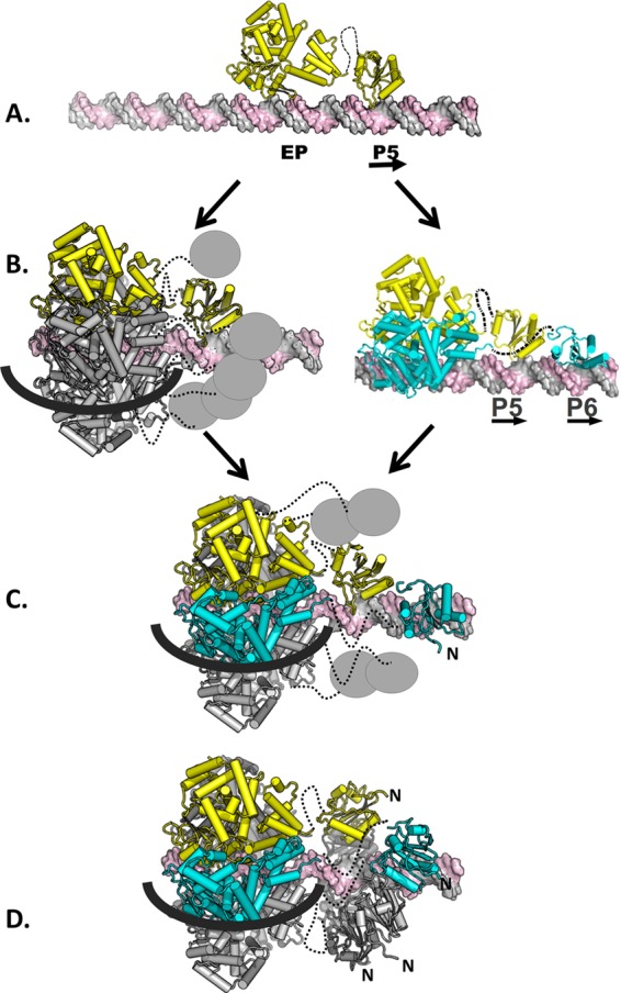 Fig 7