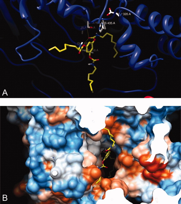 Figure 11