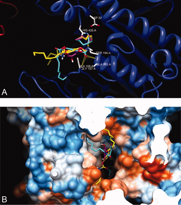 Figure 12