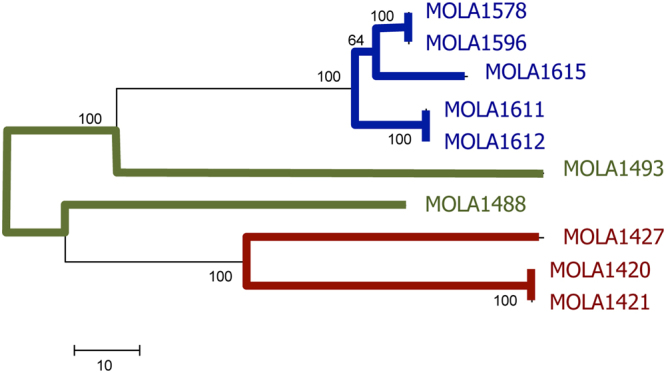 Figure 2