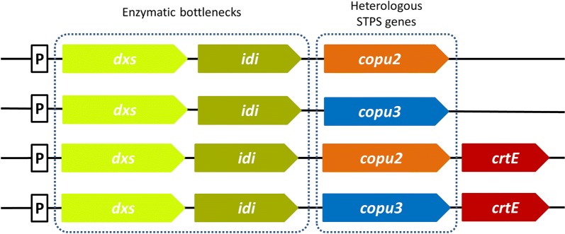 Fig. 1