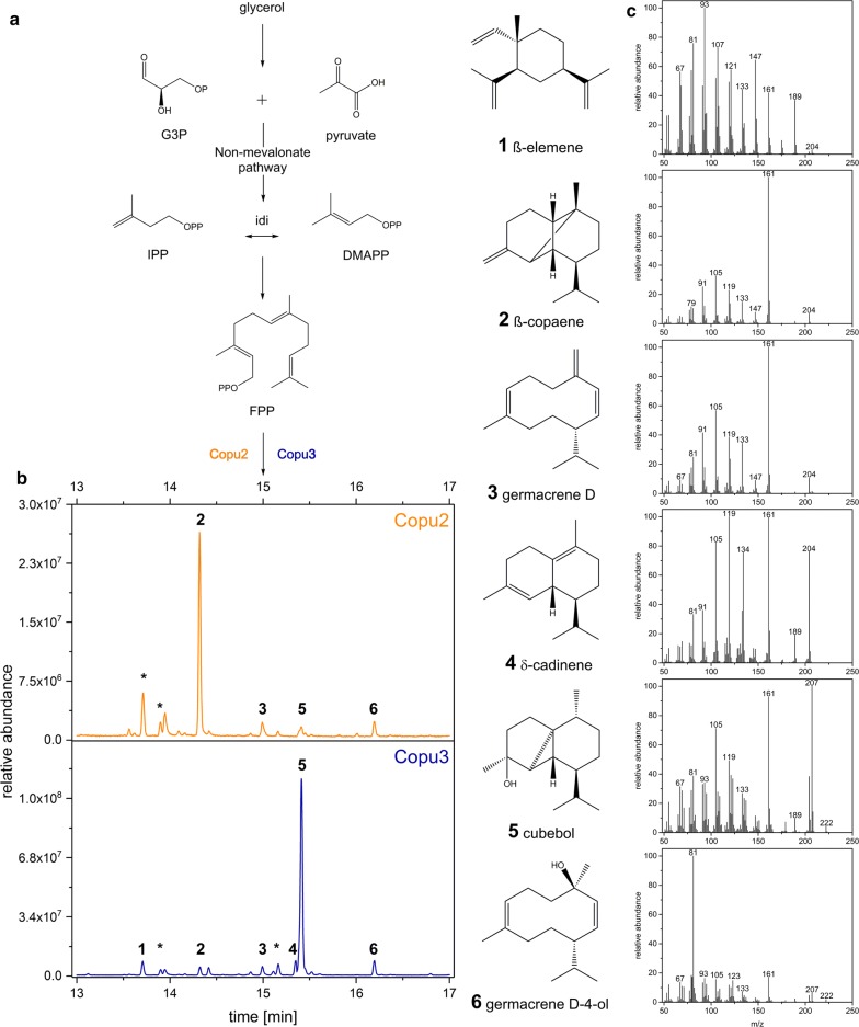 Fig. 2