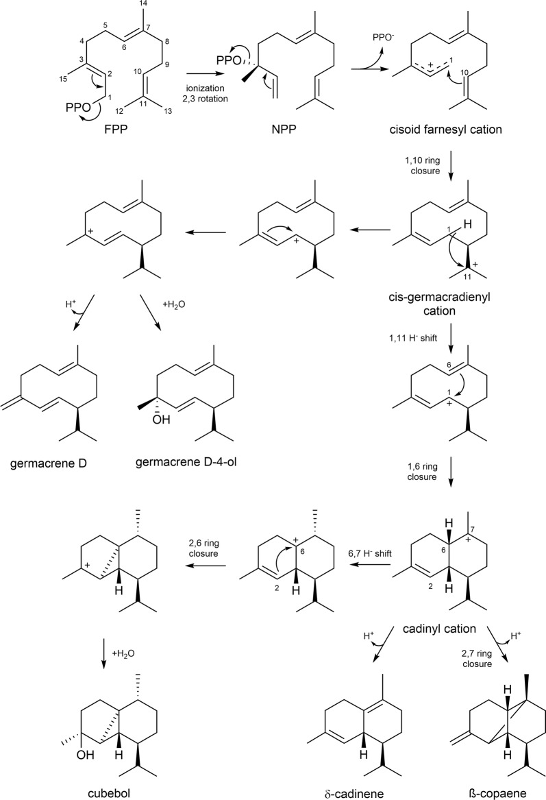 Fig. 5