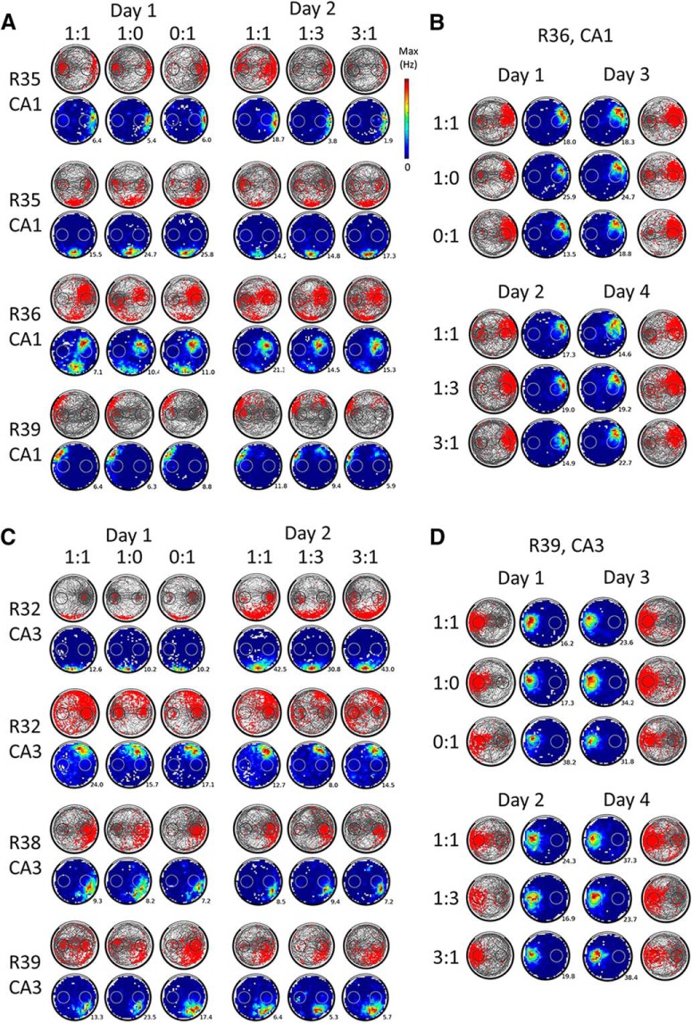 Figure 4.