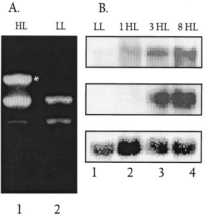 FIG. 7