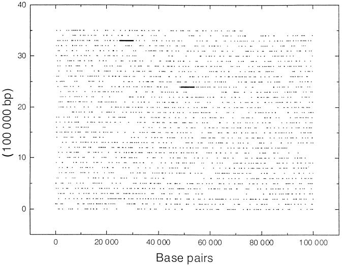 FIG. 1