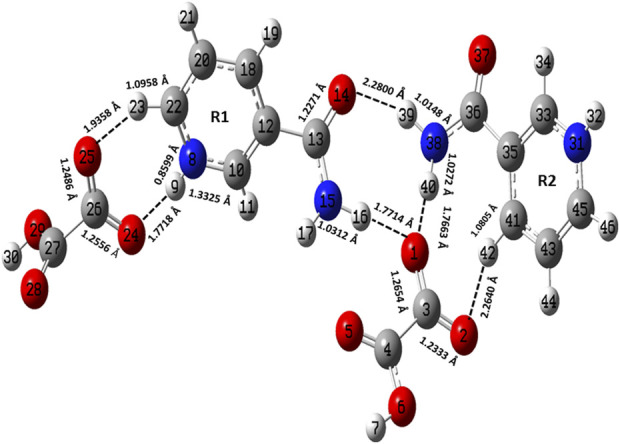 FIGURE 2