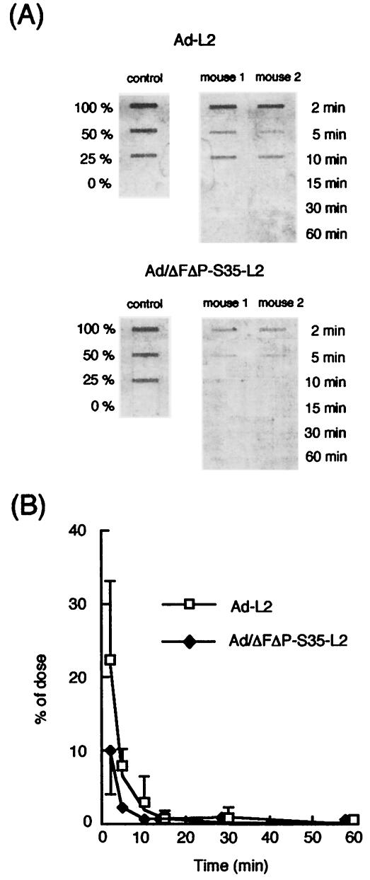 FIG. 5.