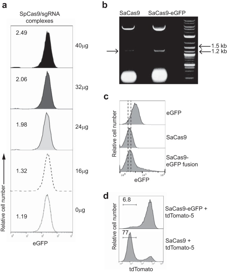 FIG 2 