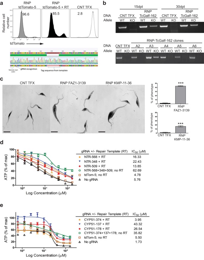 FIG 4 