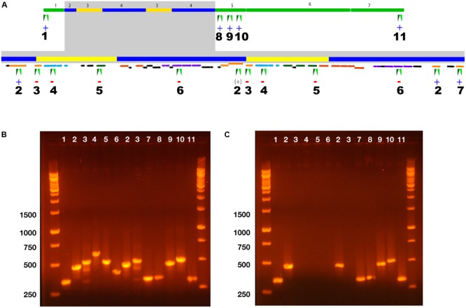 FIGURE 3