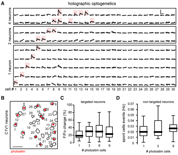 Figure 4.