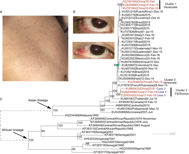 Figure 1