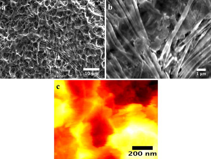 Fig. 2