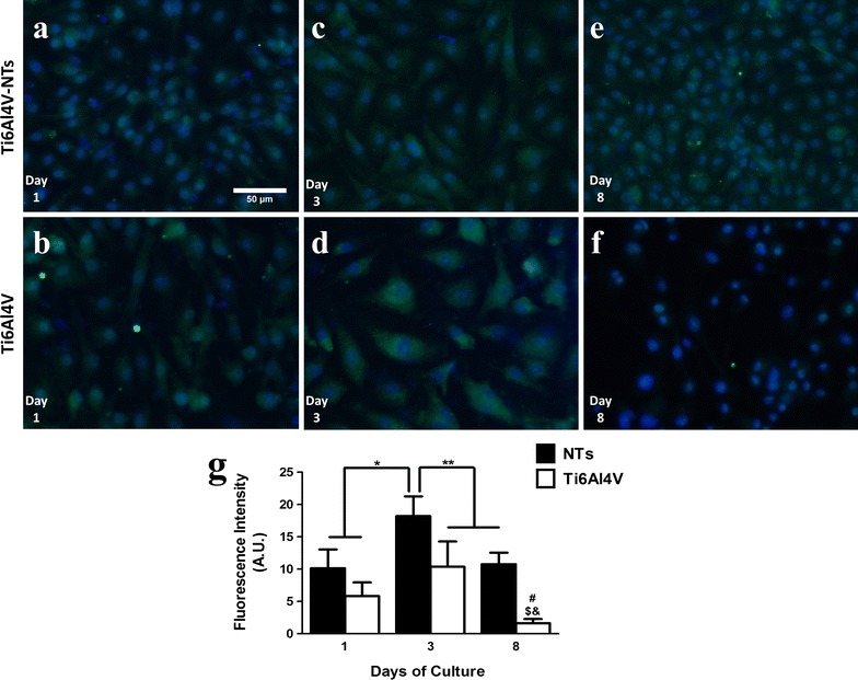 Fig. 10