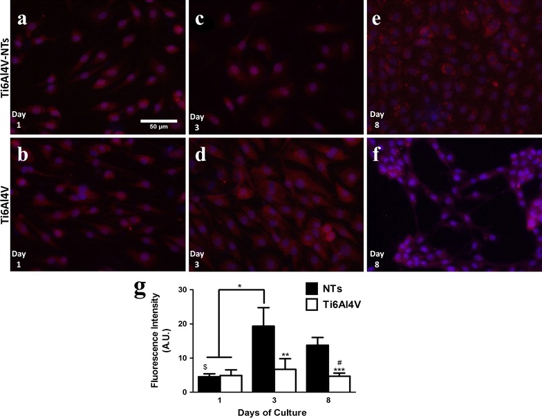 Fig. 11