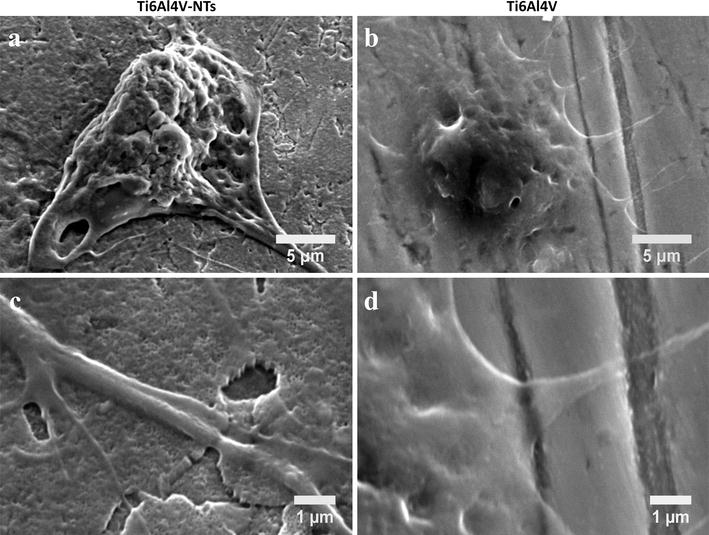 Fig. 7