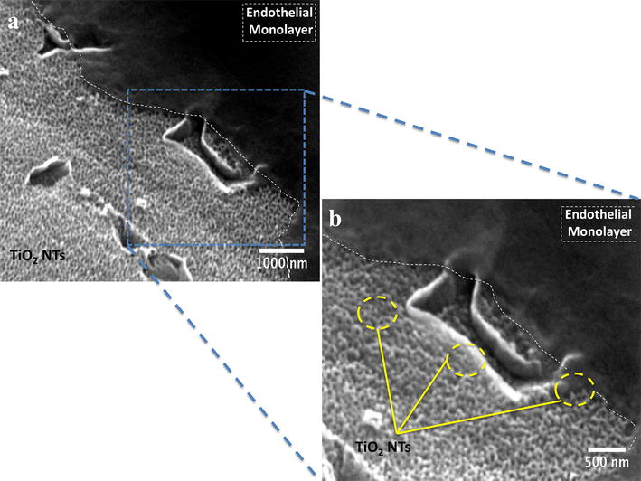 Fig. 9