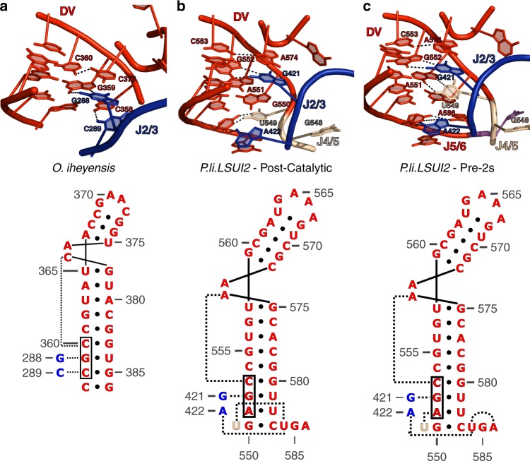 Fig. 4