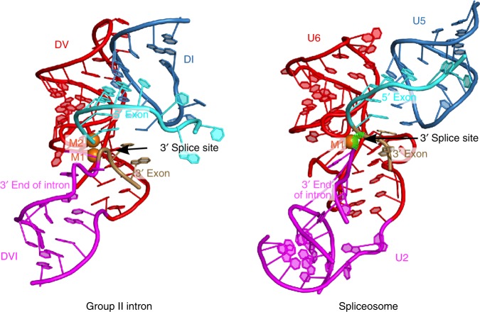 Fig. 8