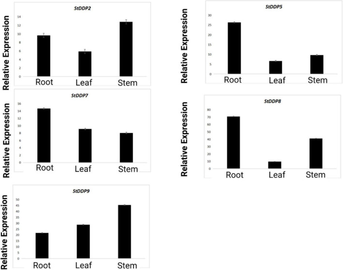 FIGURE 10