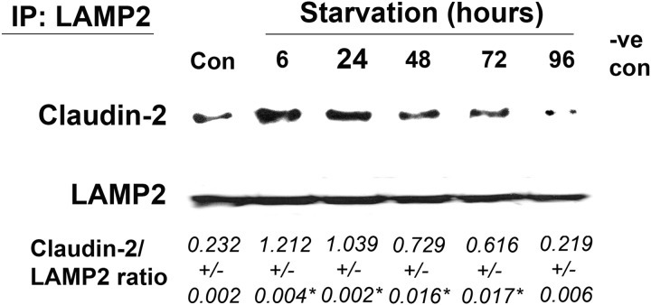 FIGURE 9.