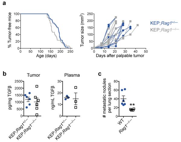 IL17-producing γδ T cells and neutrophils conspire to promote breast ...