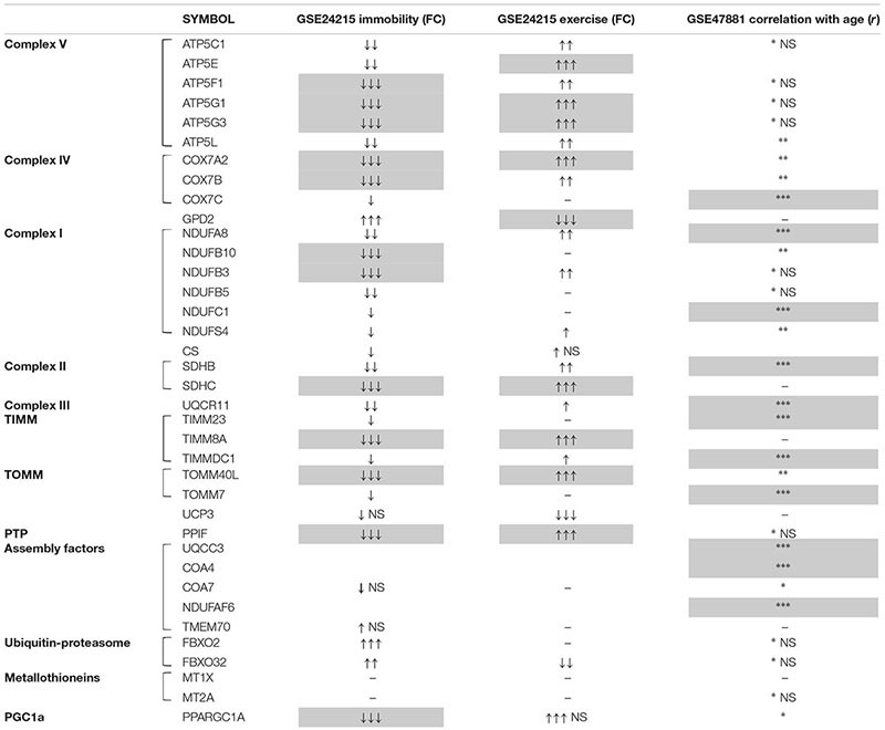 graphic file with name fphys-10-00474-t002.jpg