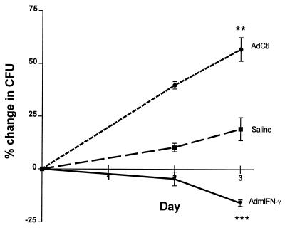 FIG. 7