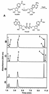 FIG. 1