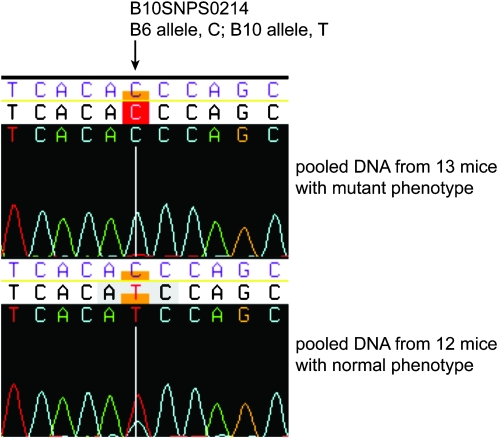 Figure 1.—