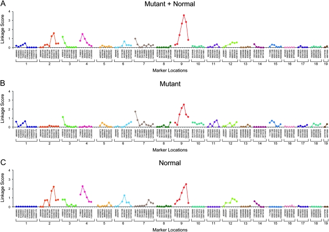 Figure 4.—