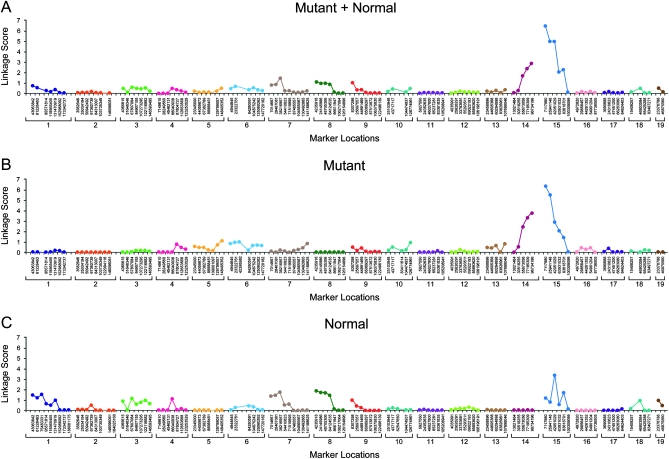 Figure 3.—