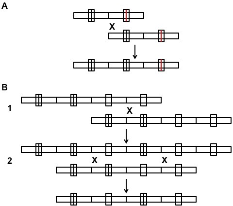 Appendix 1—figure 3.