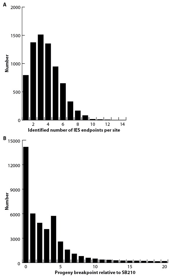 Figure 5—figure supplement 3.