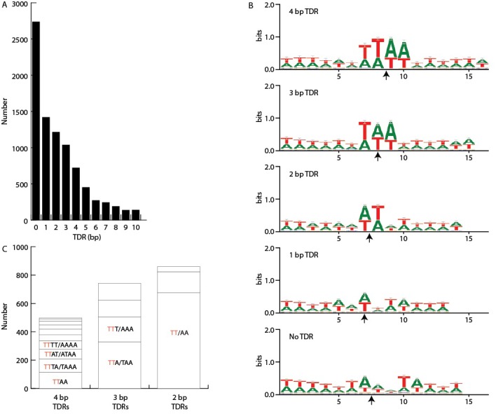 Figure 5—figure supplement 4.