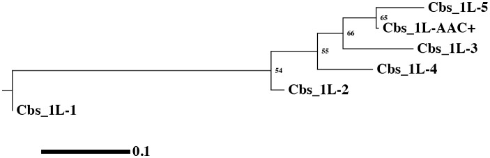 Appendix 1—figure 1.