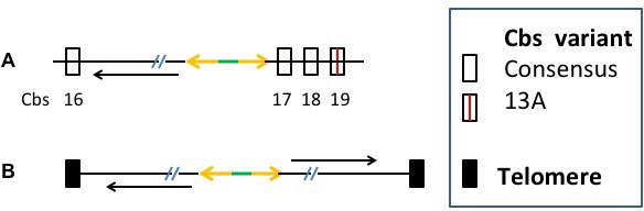 Appendix 1—figure 5.