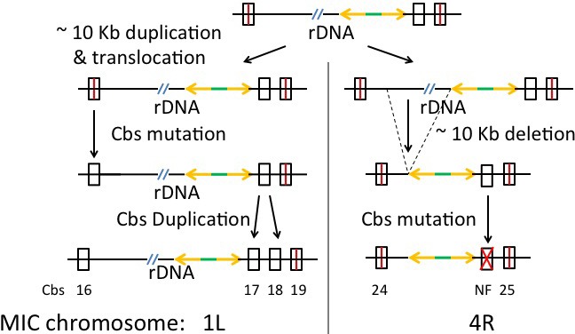 Appendix 1—figure 6.