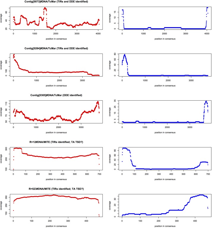 Figure 6—figure supplement 1.