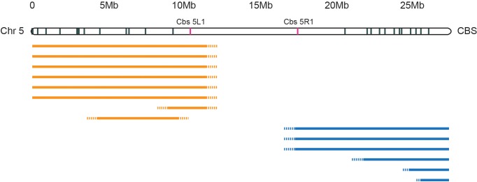 Figure 2—figure supplement 1.