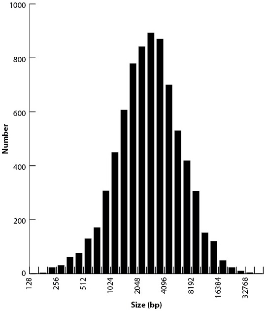 Figure 5—figure supplement 2.